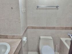 Tanglin Regency (D10), Condominium #605496451
